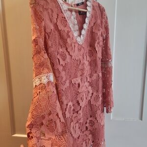 Alexia Admor Pink and White Small Lace Dress